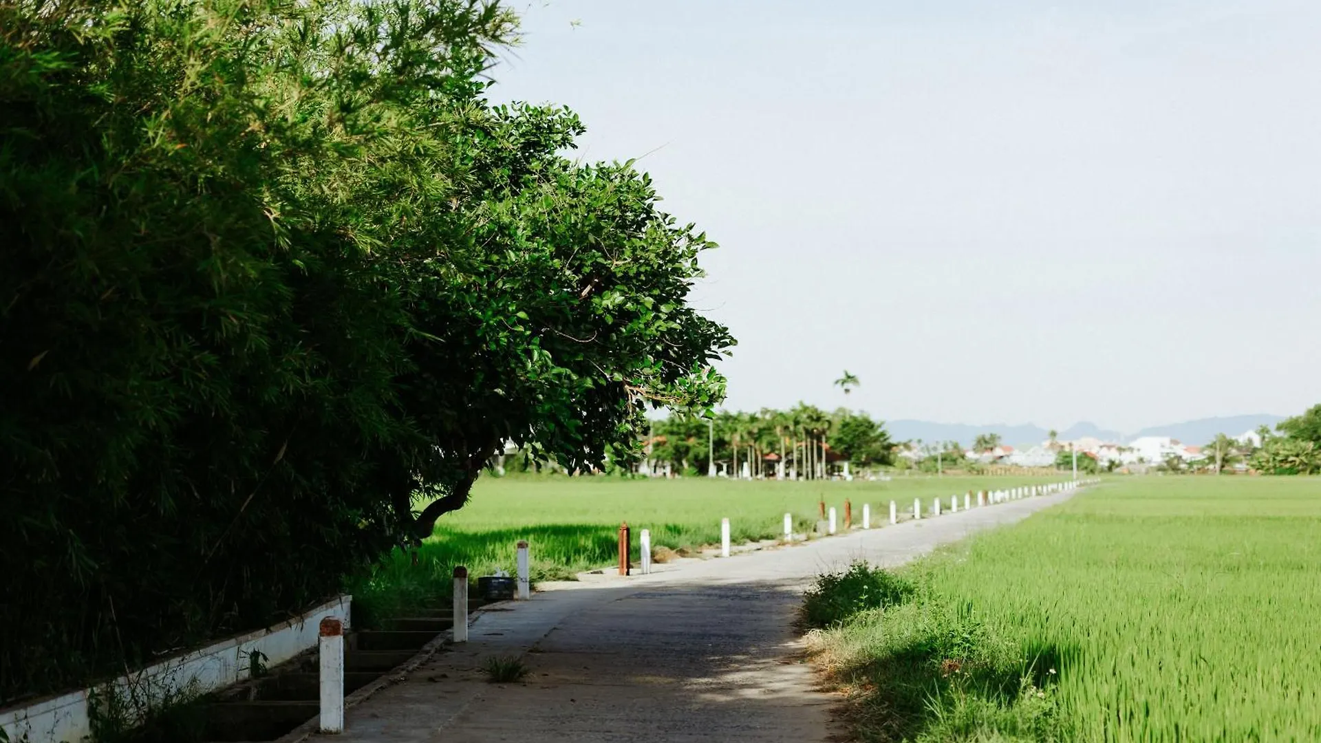Villa Heron House Hoi An Vietnam